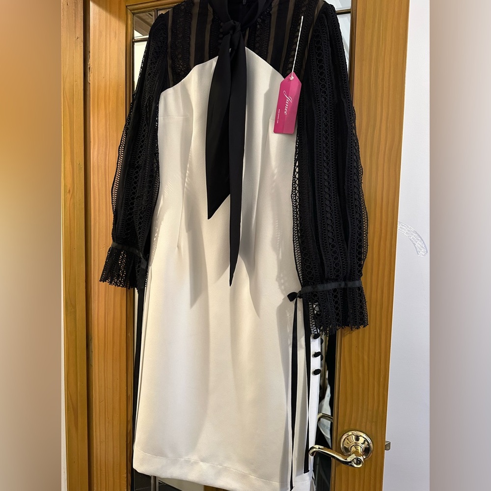 Brand new never worn black and ivory dress gorgeous sleeves and lined inside